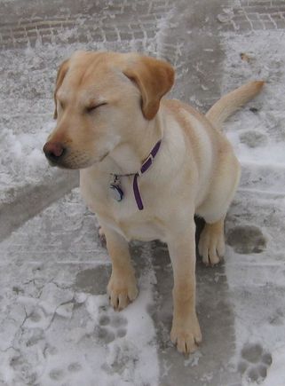Maggie2-21-1.jpg
