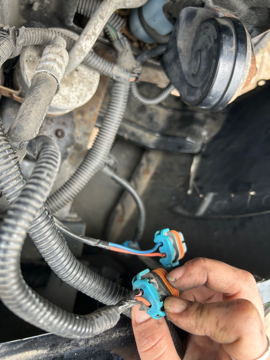 Wires into the connectors for low beam and high beam 