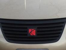 Plasti dipped the front grill