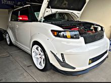New and updated headlights, and new paint for the gramlights... now I need new front lip. 