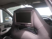 I managed to squeeze them in