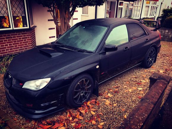 Looking cold this morning 