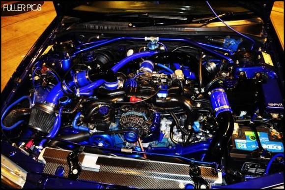 378708 172490646179271 152617094833293 328267 1774959242 n