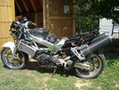pics of the hawk