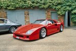 Ferraris On Show