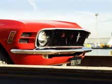 Larry's Mustang 1