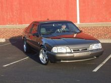 My Stang