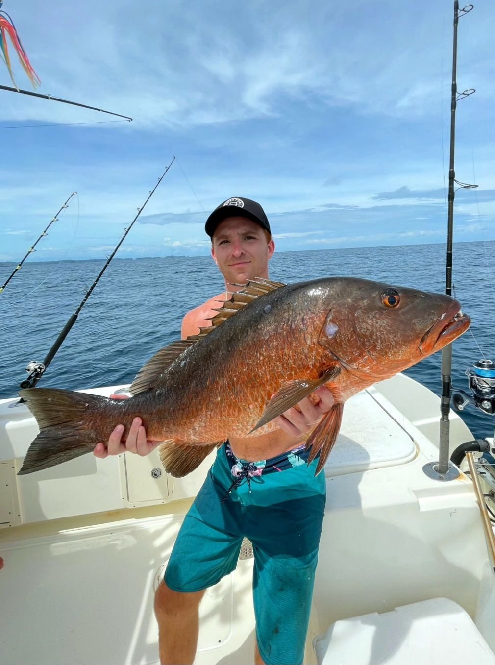 Cubera Snapper  National Geographic