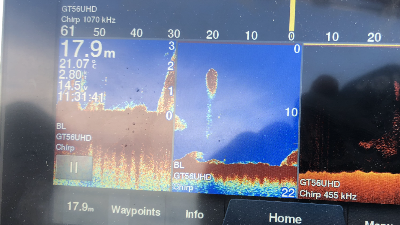 The Hull Truth Boating and Fishing Forum GT56UHD vs GT51M for