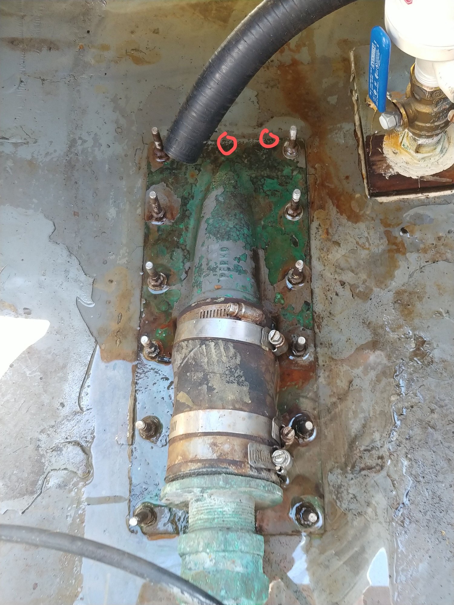 Leak on Shaft Log Help. The Hull Truth Boating and Fishing Forum