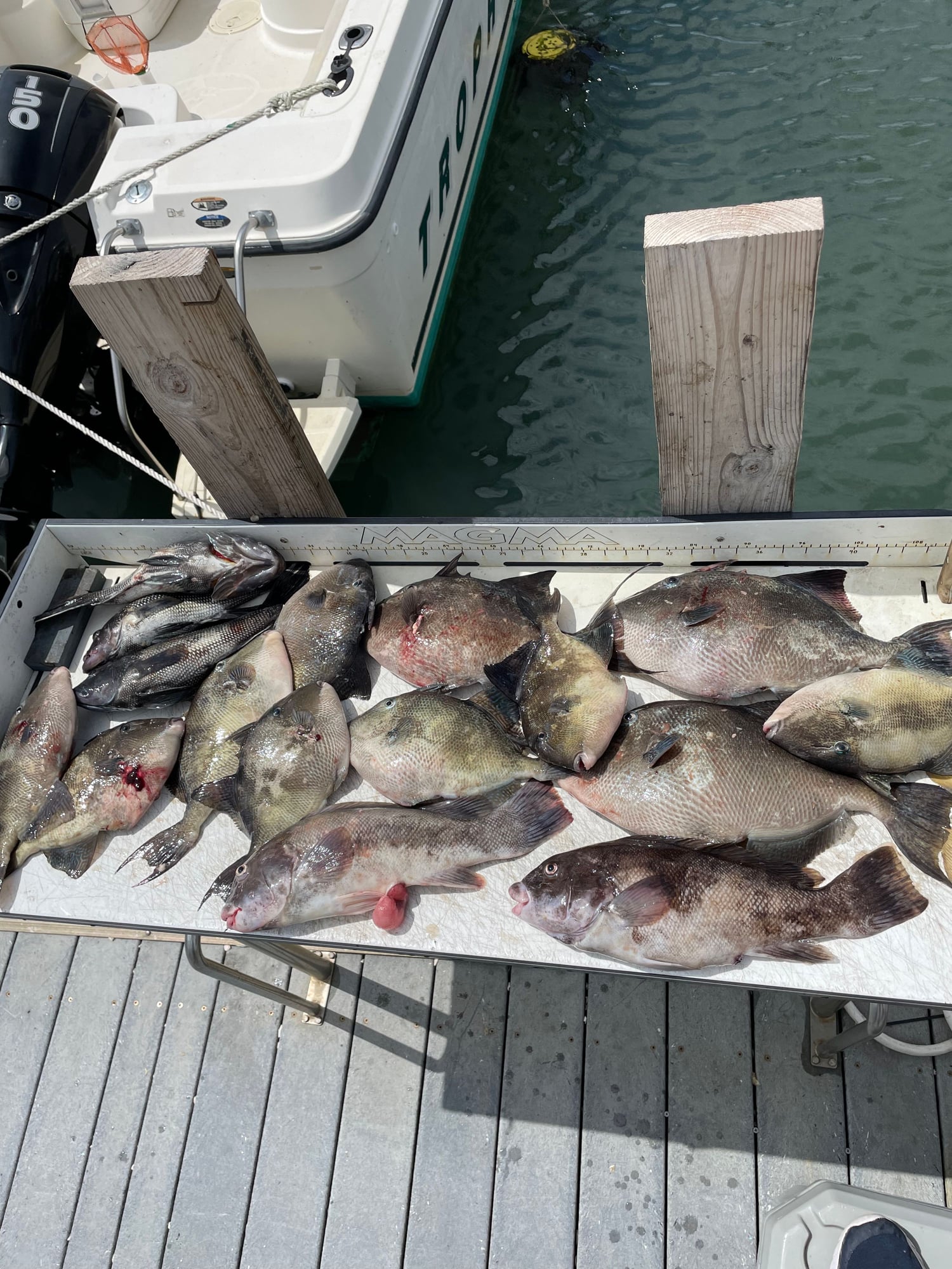 Chumming bottom fish in deeper spots - The Hull Truth - Boating and Fishing  Forum