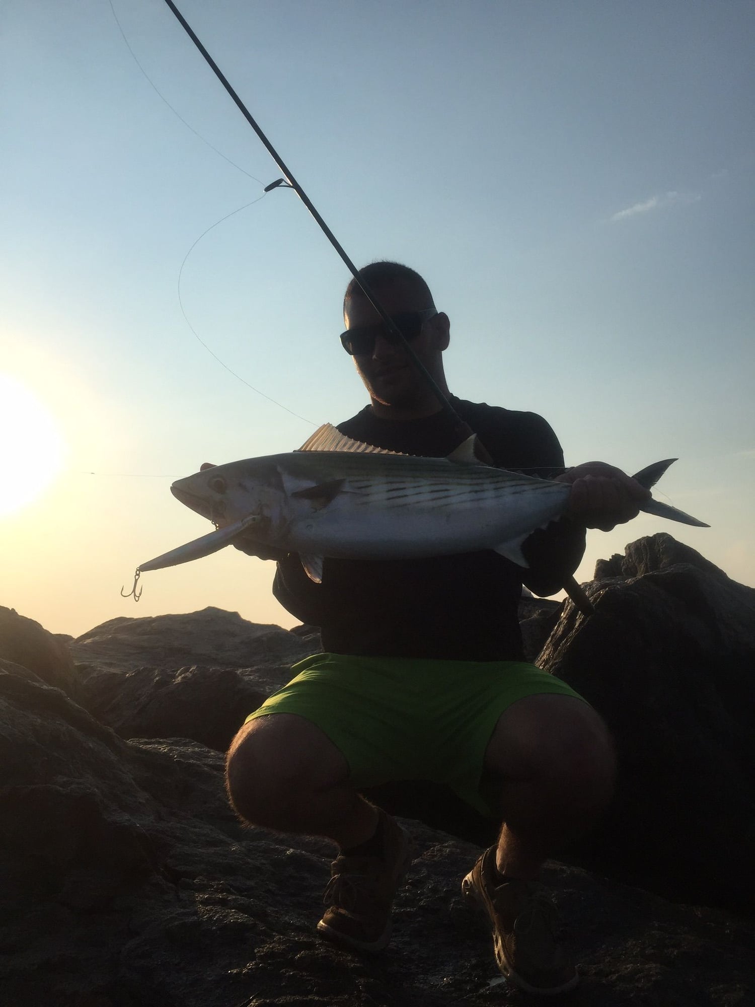 Casting for bonito? - The Hull Truth - Boating and Fishing Forum