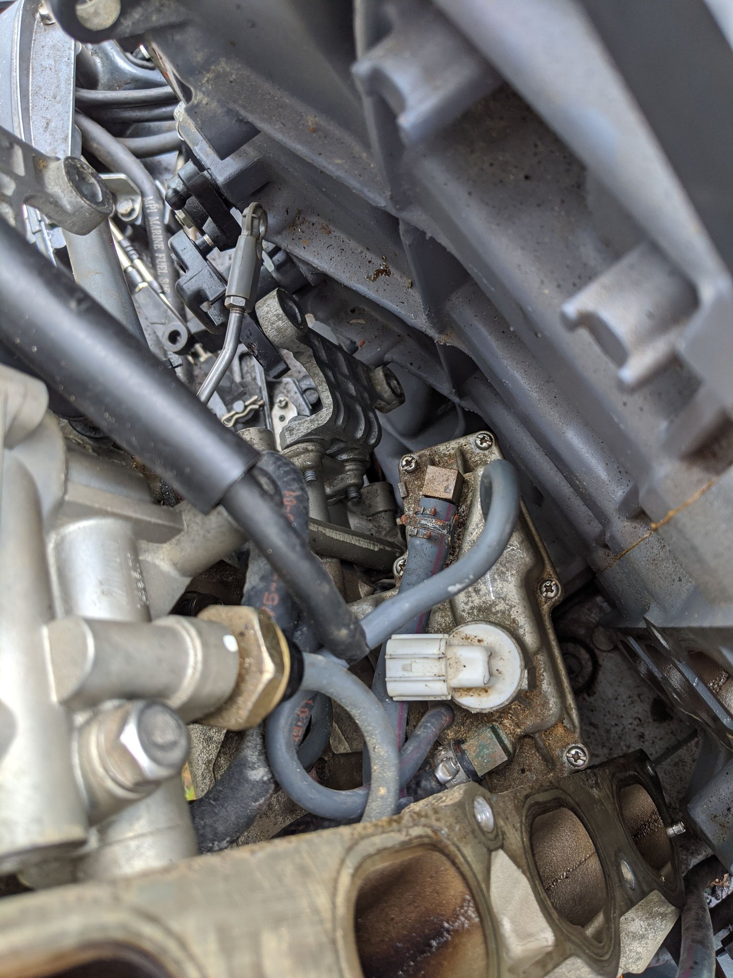 How to remove Yamaha VST filter The Hull Truth Boating and Fishing