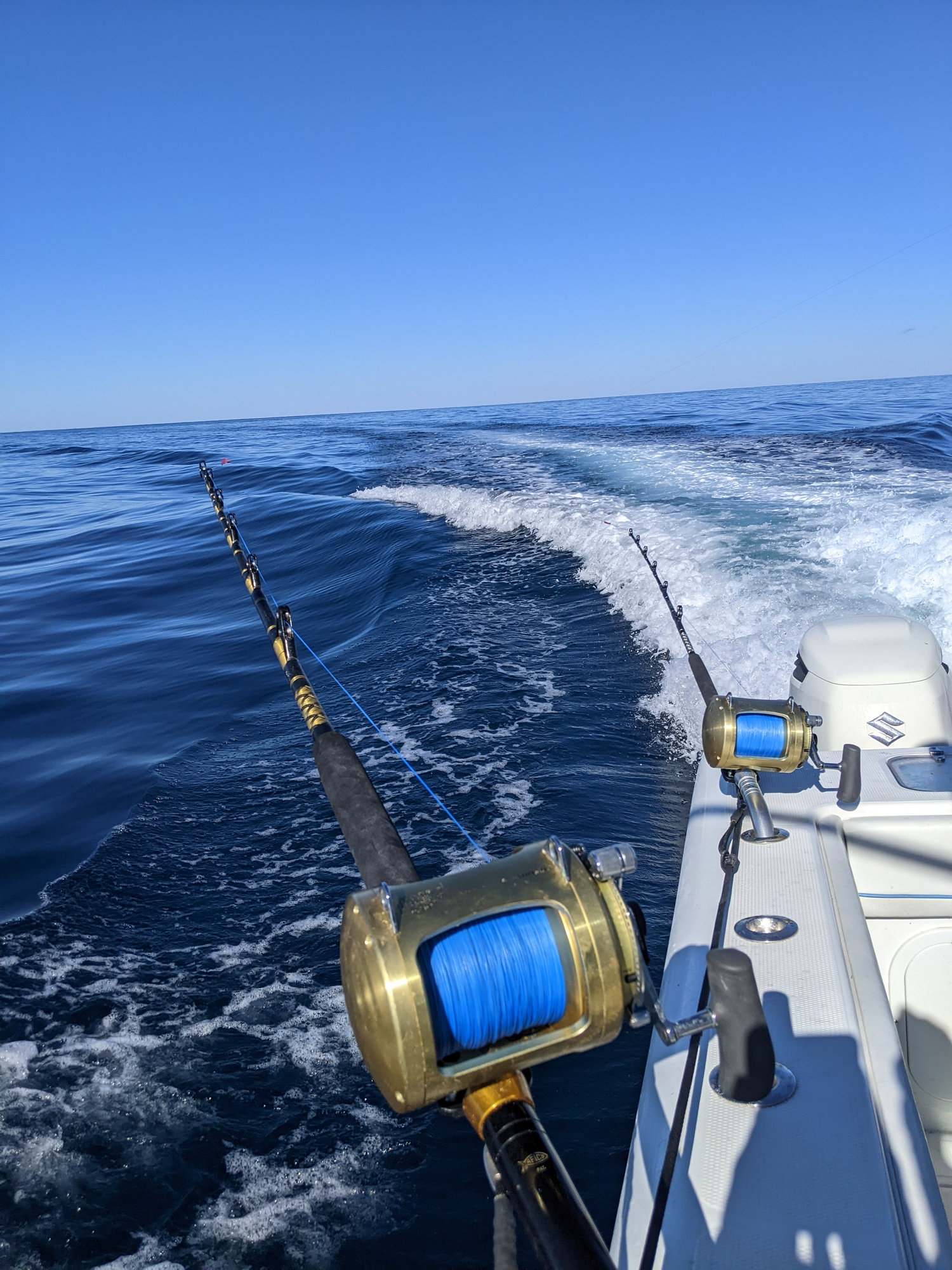 Beaufort/ Hilton Head/ Savannah Offshore Fishing Reports