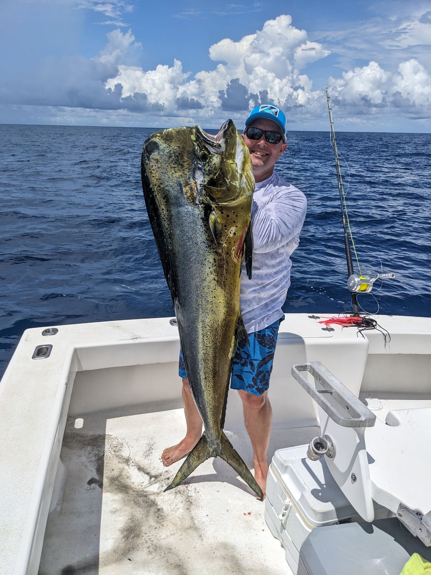 Mahi weight guesses? - Page 3 - The Hull Truth - Boating and Fishing Forum