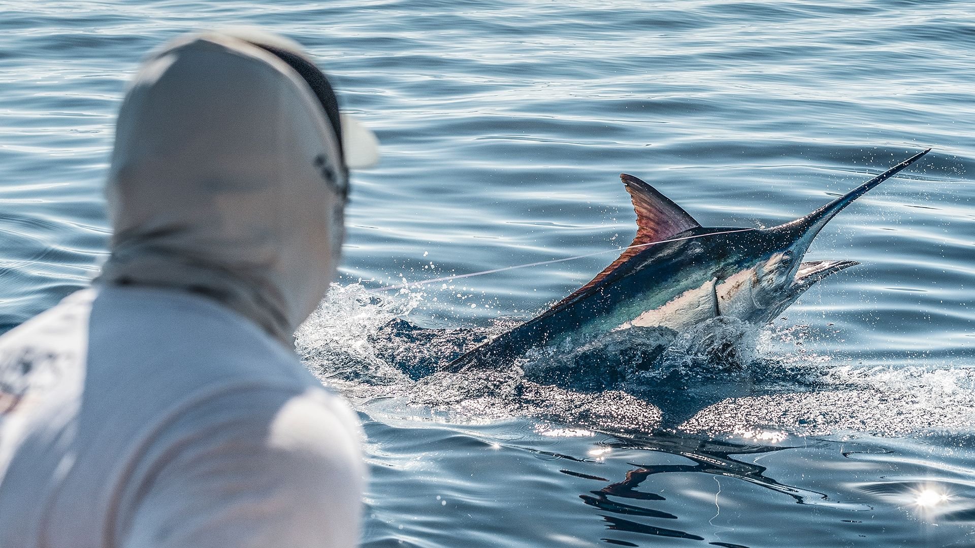 Bisbees Black And Blue Photos The Hull Truth Boating and Fishing Forum