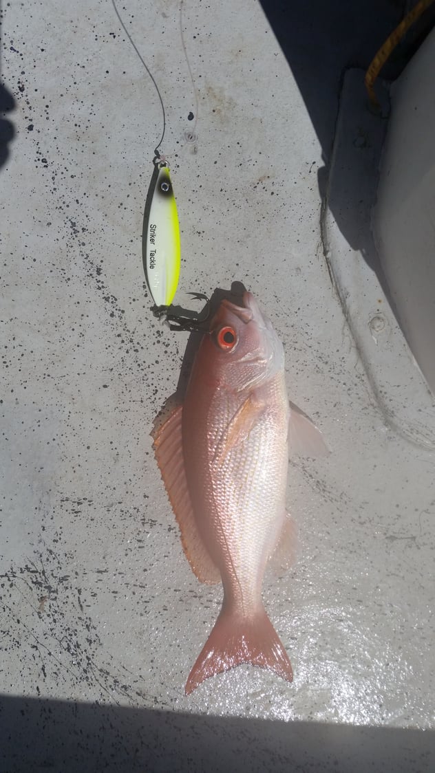 Red Snapper Rigs and Jigs? - The Hull Truth - Boating and Fishing Forum