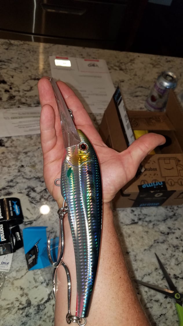 Nomad dtx 200 minow hook replacement - The Hull Truth - Boating and Fishing  Forum
