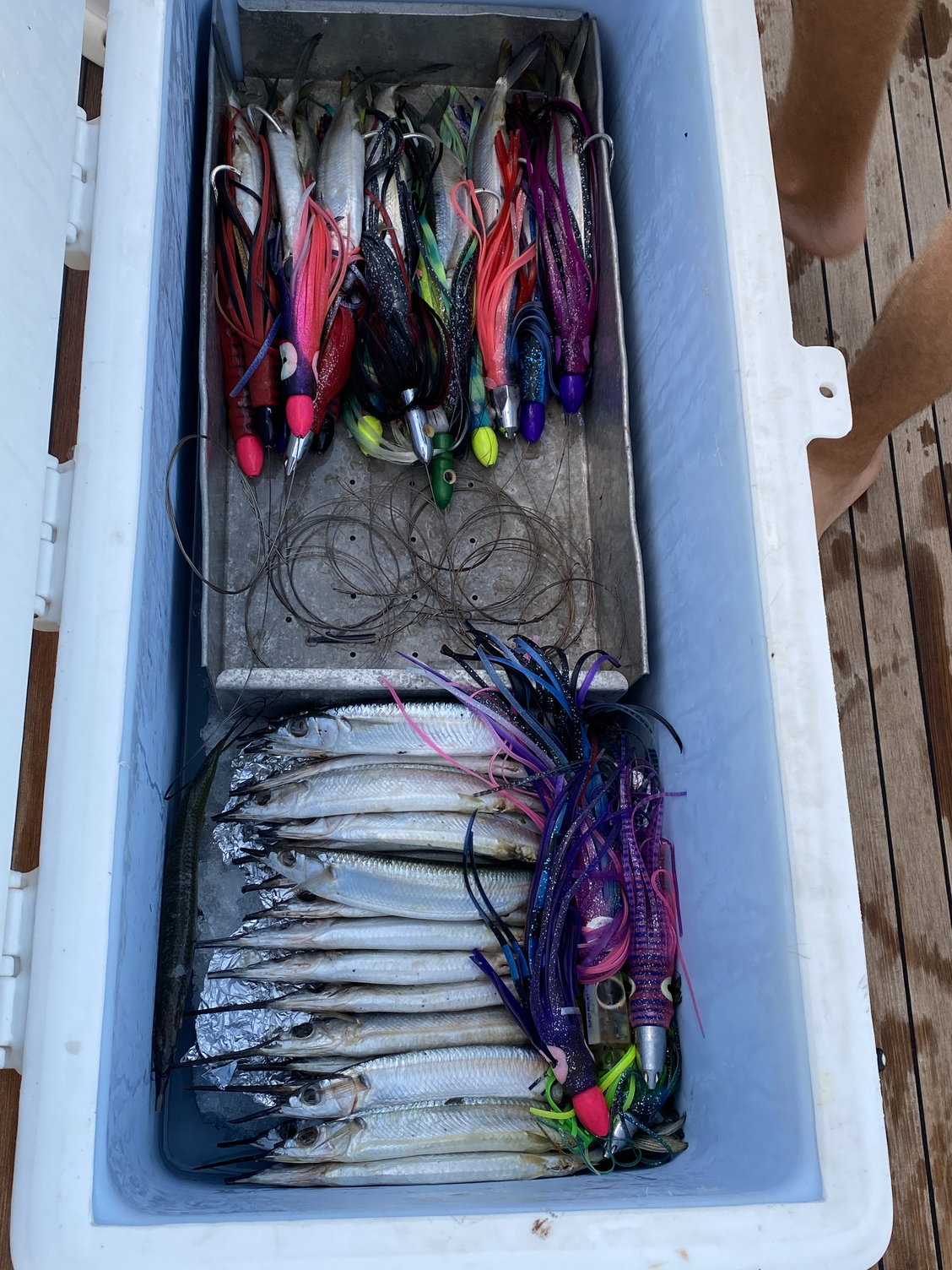 What is your favorite high speed wahoo lure - Page 20 - The Hull Truth -  Boating and Fishing Forum
