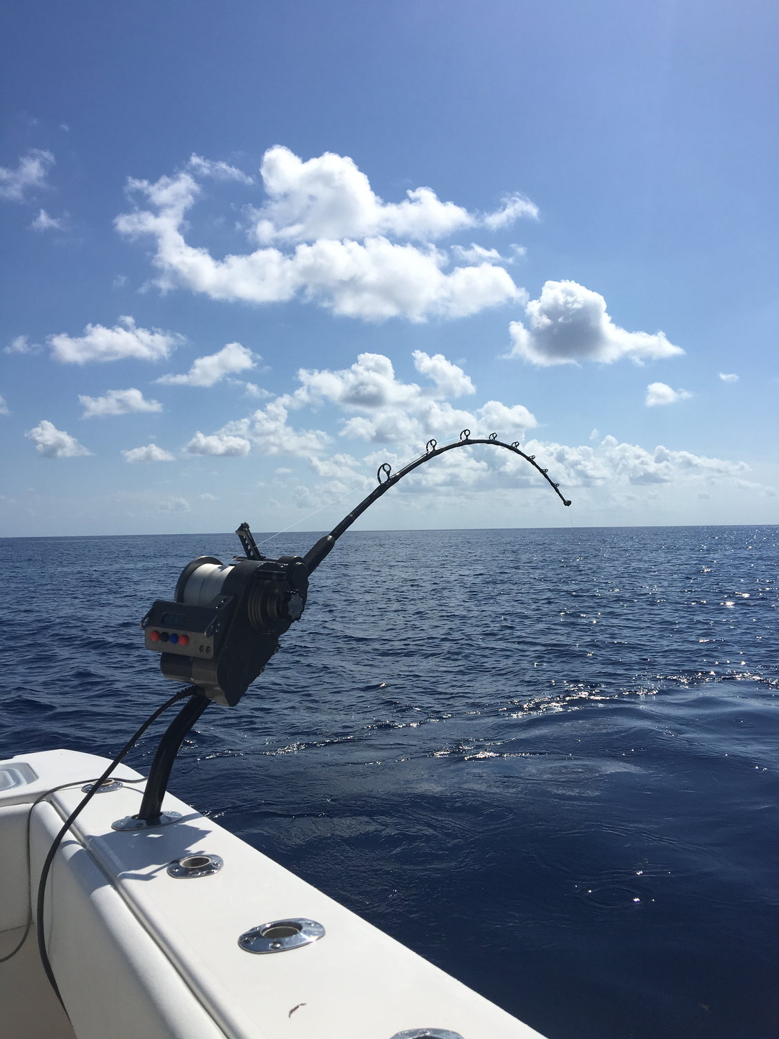 Daytime Swordfishing - Gulf of Mexico Tips & Tricks - The Hull Truth -  Boating and Fishing Forum