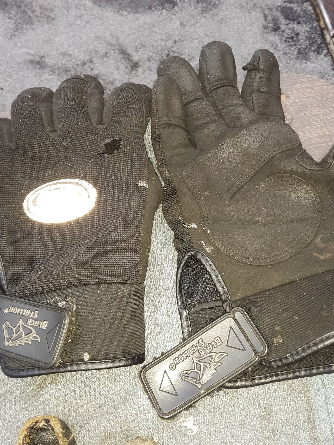 Inexpensive Wally world glove review time. - The Hull Truth - Boating ...