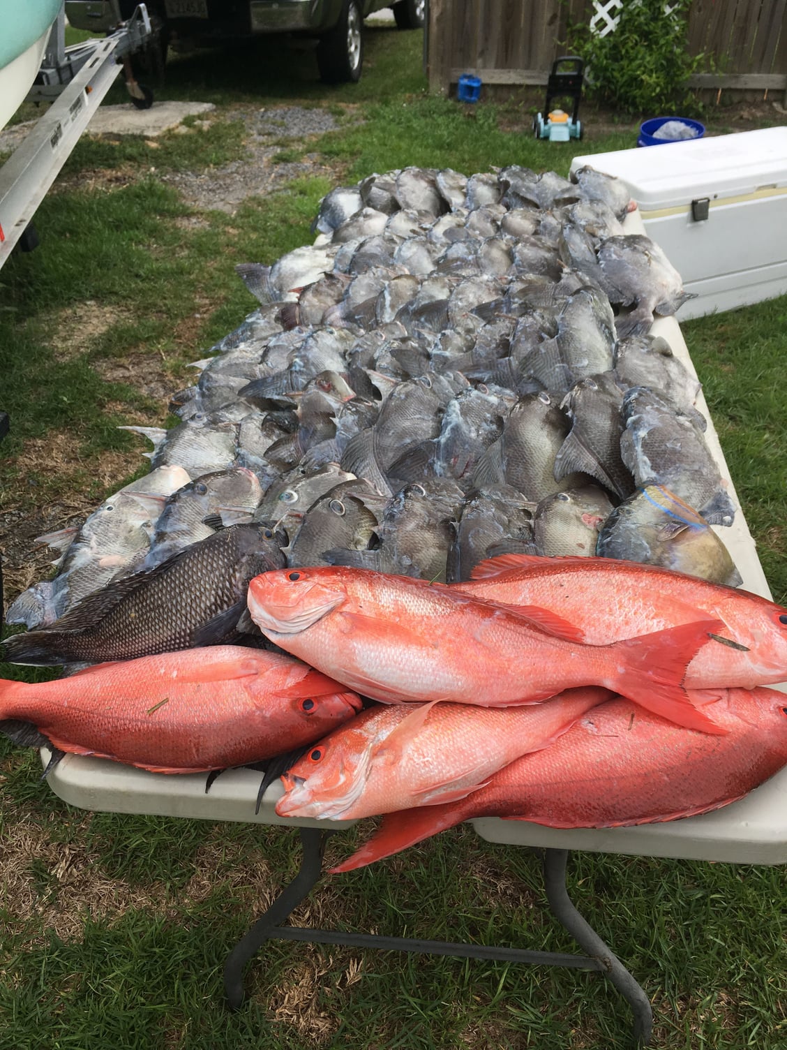 Charleston Offshore Fishing Reports/Discussion Thread