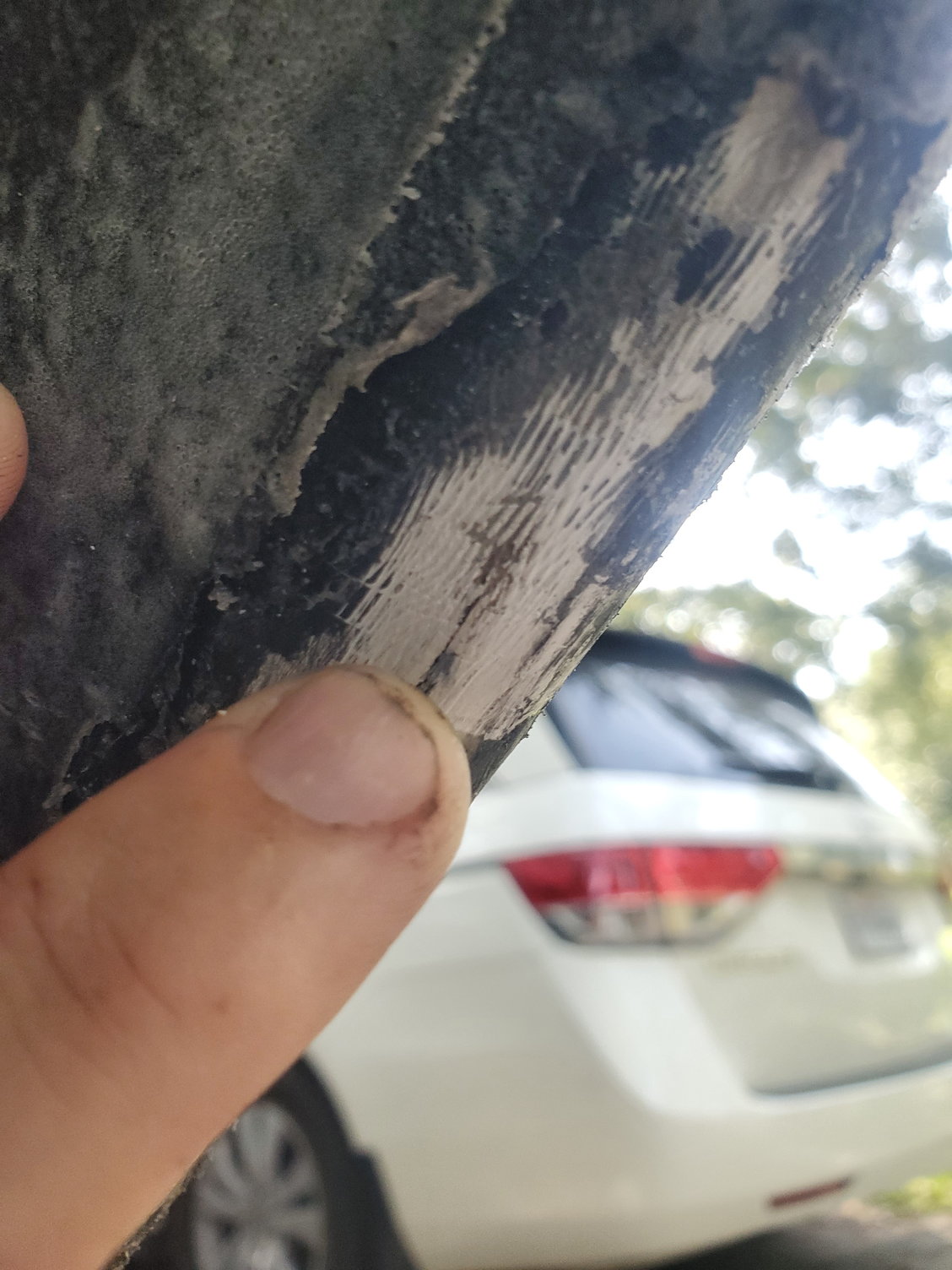 Does Vinegar Damage Car Paint? Find Out the Truth! 