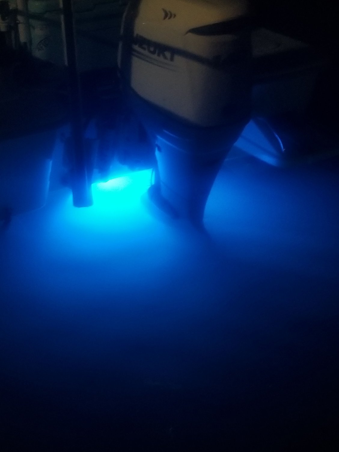 Running 1 Lumitec underwater light. The Hull Truth Boating and