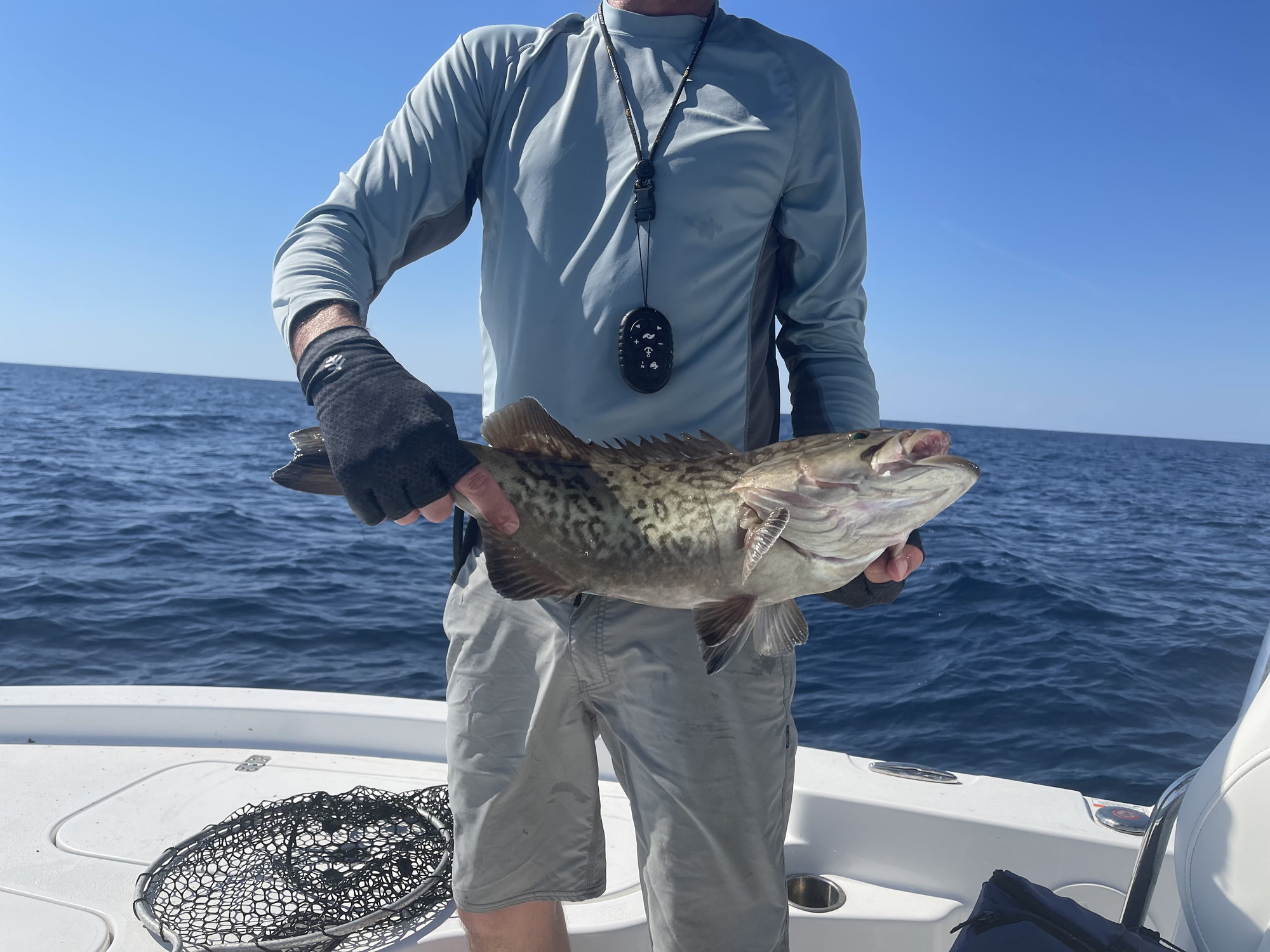 Grouper Bite - The Hull Truth - Boating and Fishing Forum