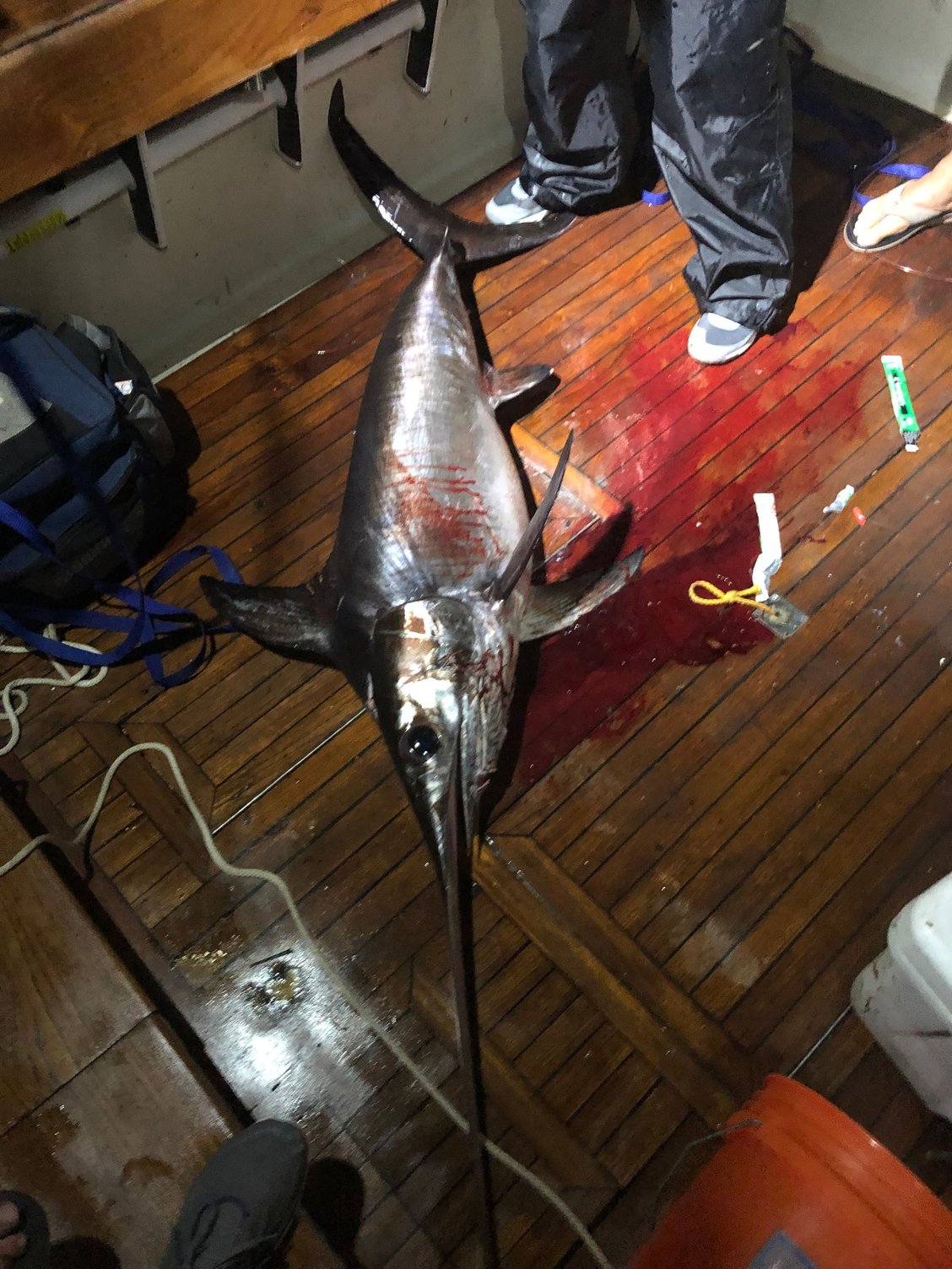 53” swordfish weight The Hull Truth Boating and Fishing Forum