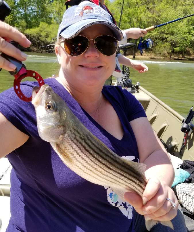 Striped Bass - The Hull Truth - Boating and Fishing Forum