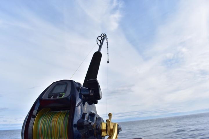 0° or 15° swivel rod holder for the one you deep drop/electric reel from? -  The Hull Truth - Boating and Fishing Forum
