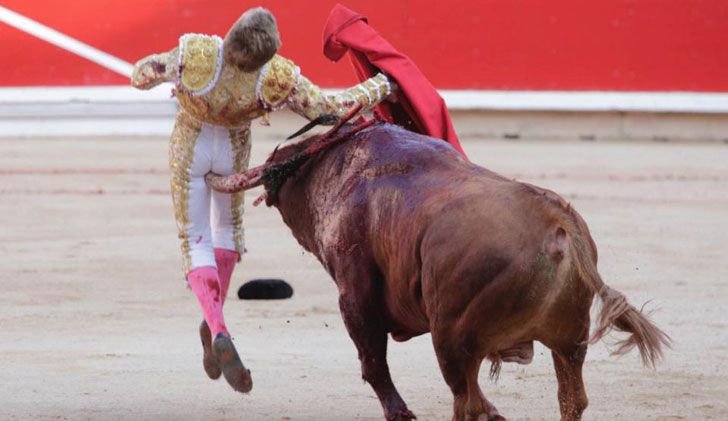 85077377_419dc266be5381803f80b264c380884