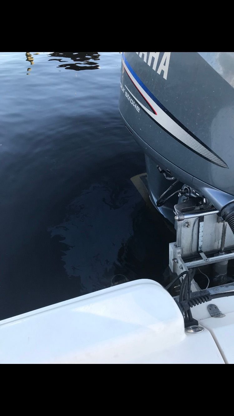 Yamaha F250 HP Leak behind motor The Hull Truth Boating and Fishing