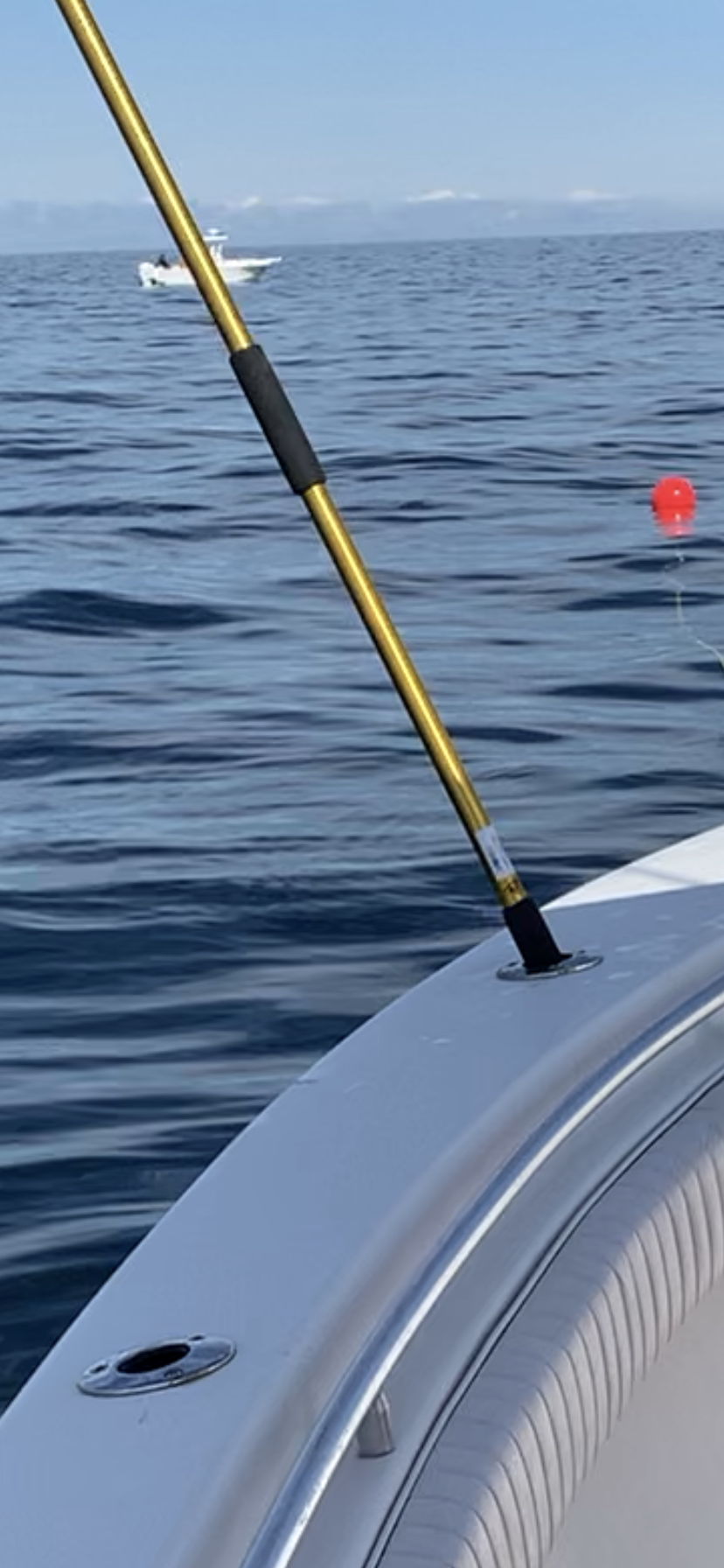 fish measuring ruler best length? - The Hull Truth - Boating