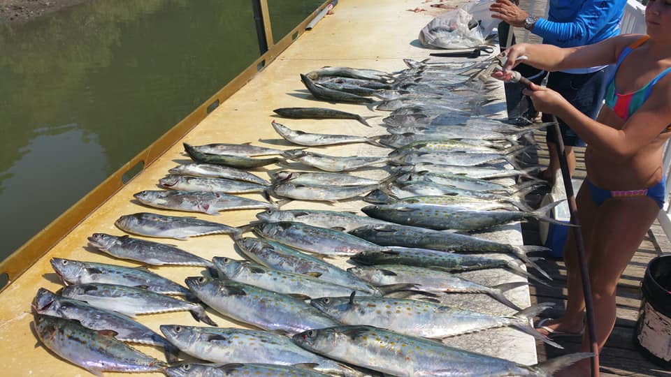 Spanish Mackerel setup - Page 2 - The Hull Truth - Boating and