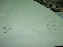 Passenger front half of roof. All the bare metal spots are high spots and the shiny unsanded ones are low spots.