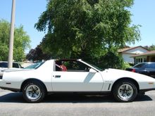 Untitled Album 2024-10-17 07:34:25