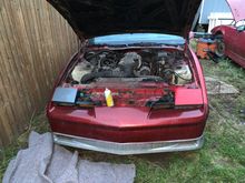 Maroon nose from cosmetic accident 