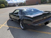 nckid4u Trans Am