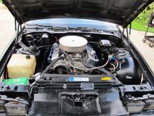 Engine (when in car)