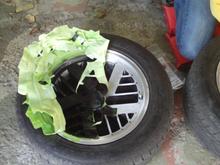 wheel restoe 6