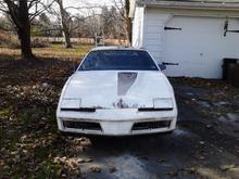 83 trans am