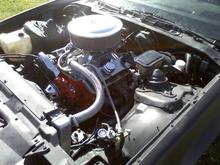 355 built heads vic jr intake billet braided hoses big alum radiator