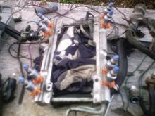 new venom 21 pound injectors