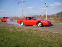 firebird