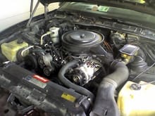 Got the 90 engine into the 87. The intake from the 87 wouldn't work, it had a broken distributor bolt and it couldn't be removed. I replaced it with an Edelbrock Performer RPM. The carb from the 87 is trash so I'll be replacing it in two days with an Edelbrock Performer 600cfm. The engine runs smooth and very loud.