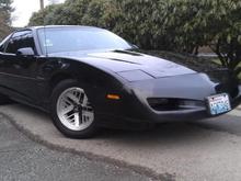 91 firebird special edition