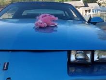 i found this on my hood one morning....