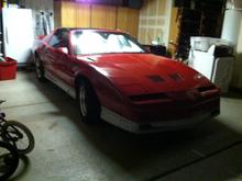 Tucked the bird in to bed